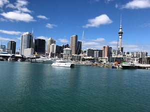 Auckland City Tour