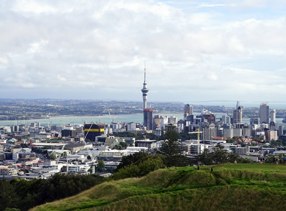 Auckland Private Tour