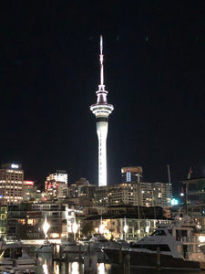 Auckland City Tour