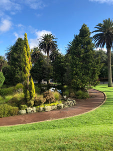 Auckland City Tour