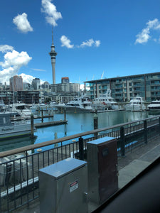 Auckland City Tour