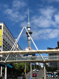 Auckland City Tour