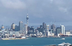 Auckland City Tour