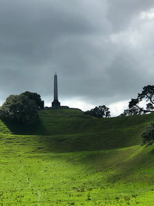 Auckland City Tour