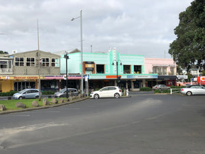 Auckland City Tour