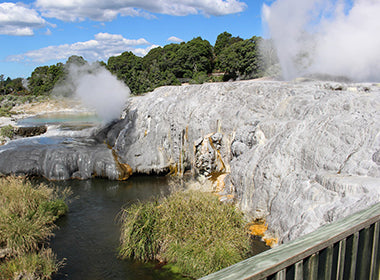 Hobbiton Movie Set and Rotorua tours